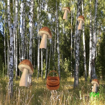 mushrooms and busket游戲截圖3