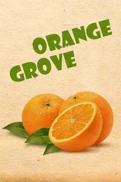 Orange Grove Test游戲截圖1
