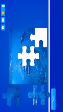 Dolphin Puzzles游戲截圖2