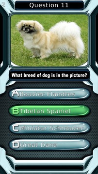 Dog Quiz游戲截圖3