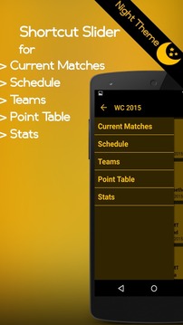 Cricket Buzz - World Cup 2015游戲截圖2