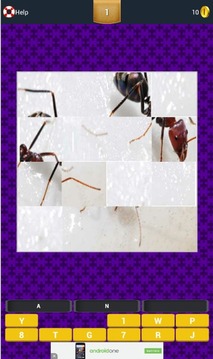 Riddle Picture Game游戲截圖3