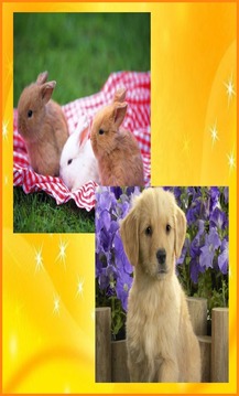 Cute Animals Jigsaw Puzzles游戲截圖2