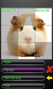 The Animal Quiz游戲截圖2