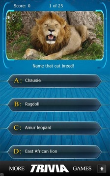 Name that Cat Breed Trivia游戲截圖2