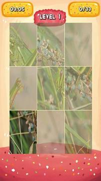 Grasshopper Jigsaw Puzzles游戲截圖5