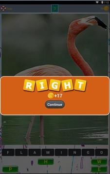 Bird Lovers Quiz游戲截圖3