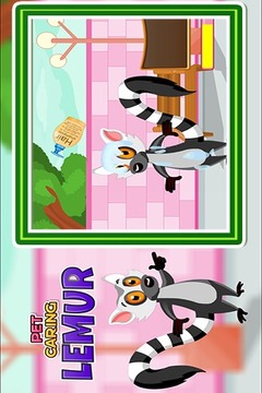 Pet Caring Lemur游戲截圖3