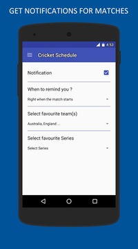 Cricket Schedule游戲截圖3