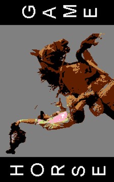 Horse Game游戲截圖1
