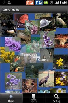 Memory Plus (MatchUp Cards)游戲截圖1