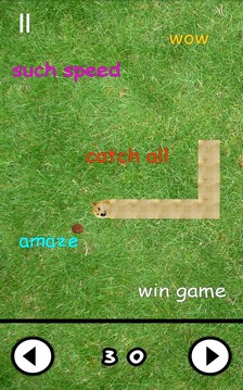 Doge Snake游戲截圖5