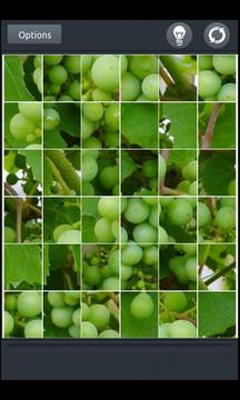 Squared Puzzle游戲截圖4