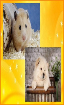 Cute Animals Jigsaw Puzzles游戲截圖3