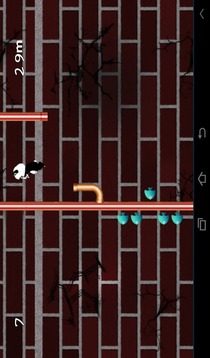 Panda Slide Fun游戲截圖3