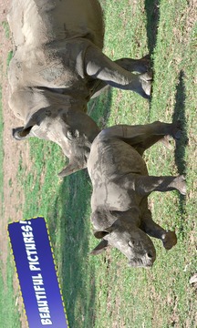 Free Cubs Jigsaw Puzzle游戲截圖2