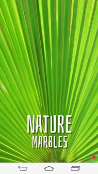 Nature Marbles游戲截圖1