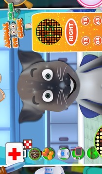 Animal Eye Clinic for Kids游戲截圖2