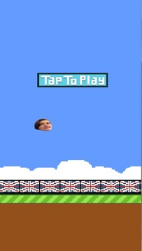 Flappy Cary游戲截圖2