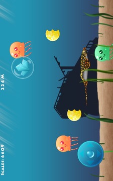 Jelly Fields游戲截圖5
