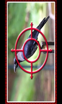 Crow Hunting游戲截圖1