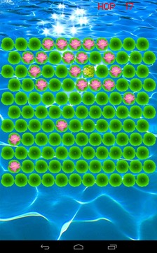Frog Trap游戲截圖3
