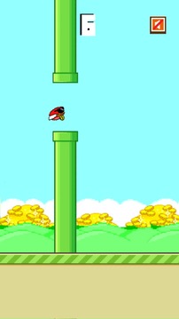 Betting Bird游戲截圖3