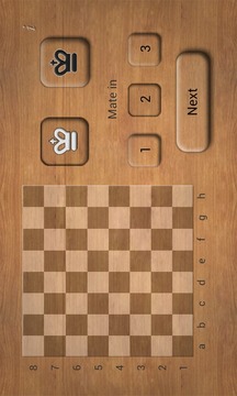 Chess Puzzles L游戲截圖1