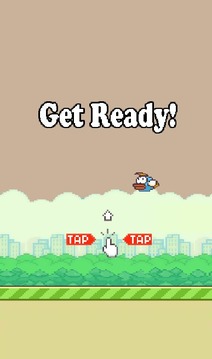 Flap Bird Retry游戲截圖2