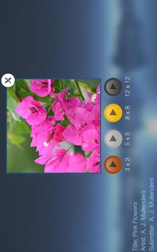 Jigsaw Puzzles Free游戲截圖2