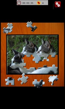 Jigsaw Quest Cats游戲截圖3