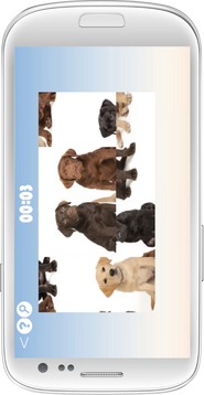 Labrador Retriever Dog Puzzle游戲截圖4