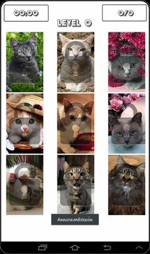 Cat Puzzles游戲截圖4