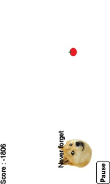 Dodge Doge游戲截圖3