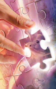 Pegasus jigsaw puzzle游戲截圖1