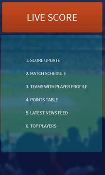 Cricket Zone游戲截圖2