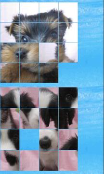 puzzle dog a(4x4)游戲截圖2