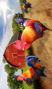 Rooster Race and Run Game游戲截圖5