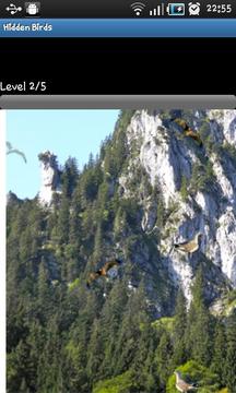 Hidden Object Games - Birds游戲截圖2