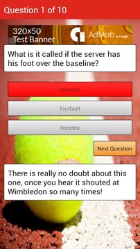 Tennis Quiz游戲截圖3