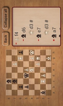 Chess Puzzles L游戲截圖3