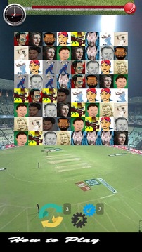 Ipl Cricket游戏截图4