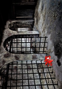 Haunted Ghost Game游戲截圖3