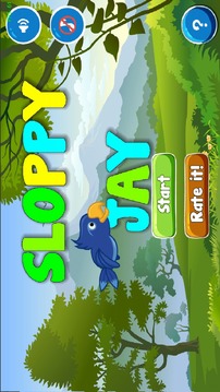 Sloppy Jaybird游戲截圖1