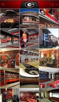Georgia Basketball Kricket App游戲截圖2