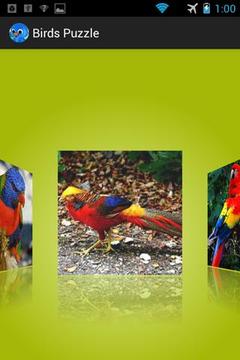 Birds Puzzle游戲截圖2