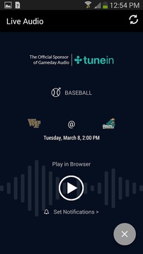 Wake Forest Gameday游戲截圖5