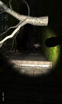Forest Terror 3D游戲截圖3