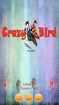 Crazy Bird Pro游戲截圖1