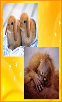 Cute Animals Jigsaw Puzzles游戲截圖1